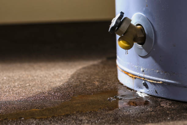 Best Mold removal after water damage  in Bermuda Dunes, CA