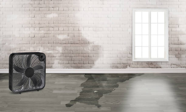 Reliable Bermuda Dunes, CA Water damage restoration Solutions