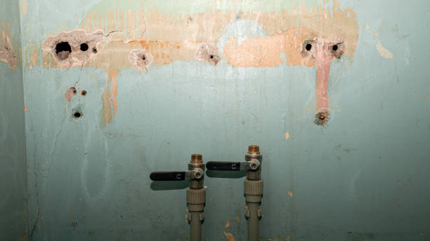 Best Ceiling water damage repair  in Bermuda Dunes, CA