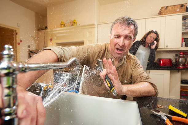 Best Mold removal after water damage  in Bermuda Dunes, CA